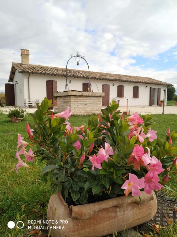 Agriturismo " Le Serre" Spello Luaran gambar